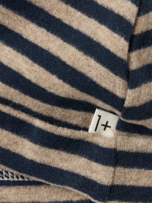 1 + IN THE FAMILY: BLAU