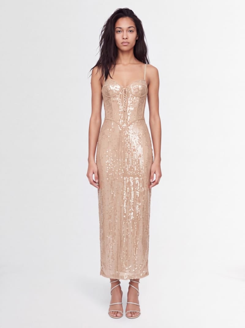 Giuseppe Di Morabito - Sequin corset long dress